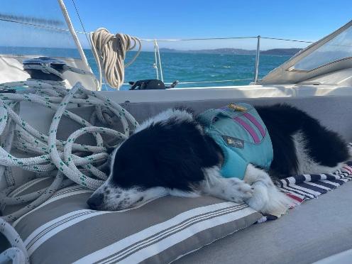 And others couldn’t care less