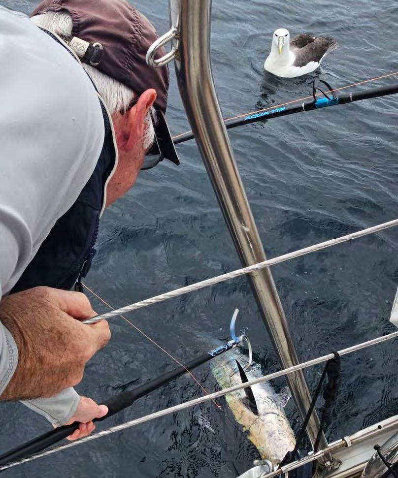 Early start Dusky Sound to Stewart Island 135 nm catching dinner on the way